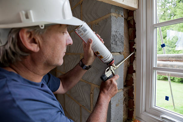 Best Cellulose Insulation  in USA